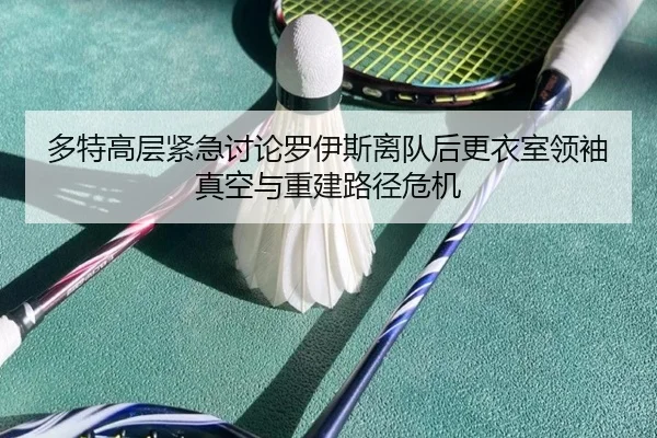 多特高层紧急讨论罗伊斯离队后更衣室领袖真空与重建路径危机（leyu）